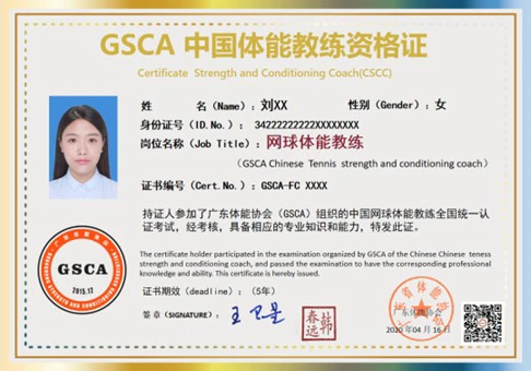 哪里能找到分卫的技术分析视频_1